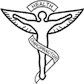 Chiropractic Caduceus